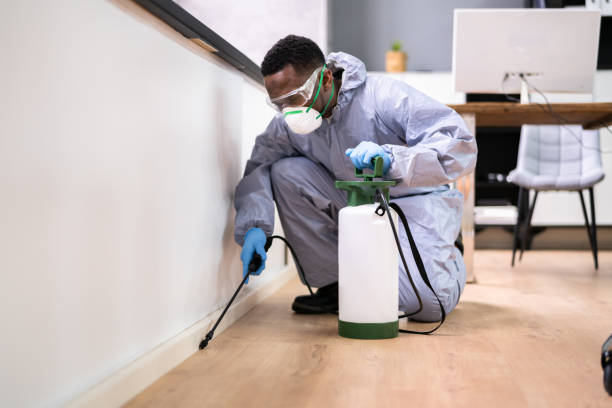 Professional Pest control in Beverly, NJ